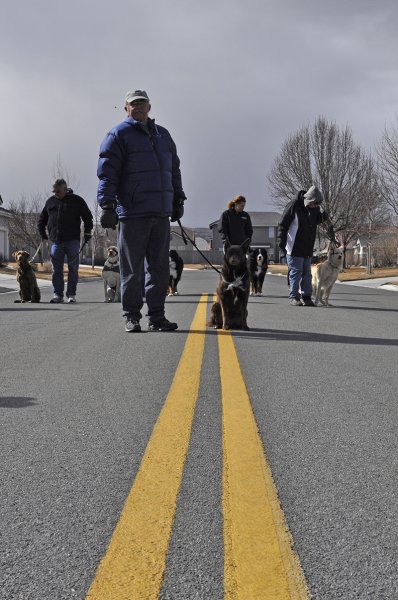 Obedience training
