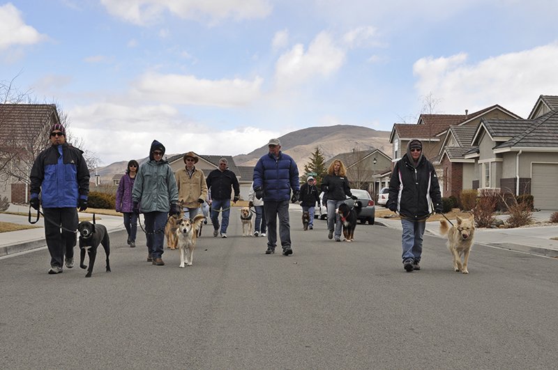 Group training class