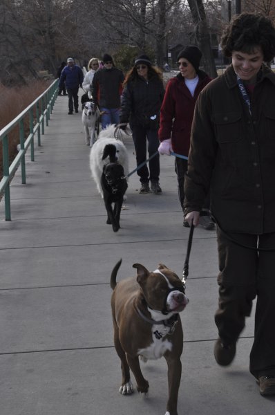 Group class on bridge