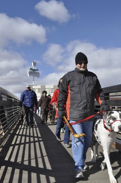 Dog and owner training